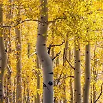 Summit Sanctuary, 3 Bedrooms, Sleeps 8, Mountain Views